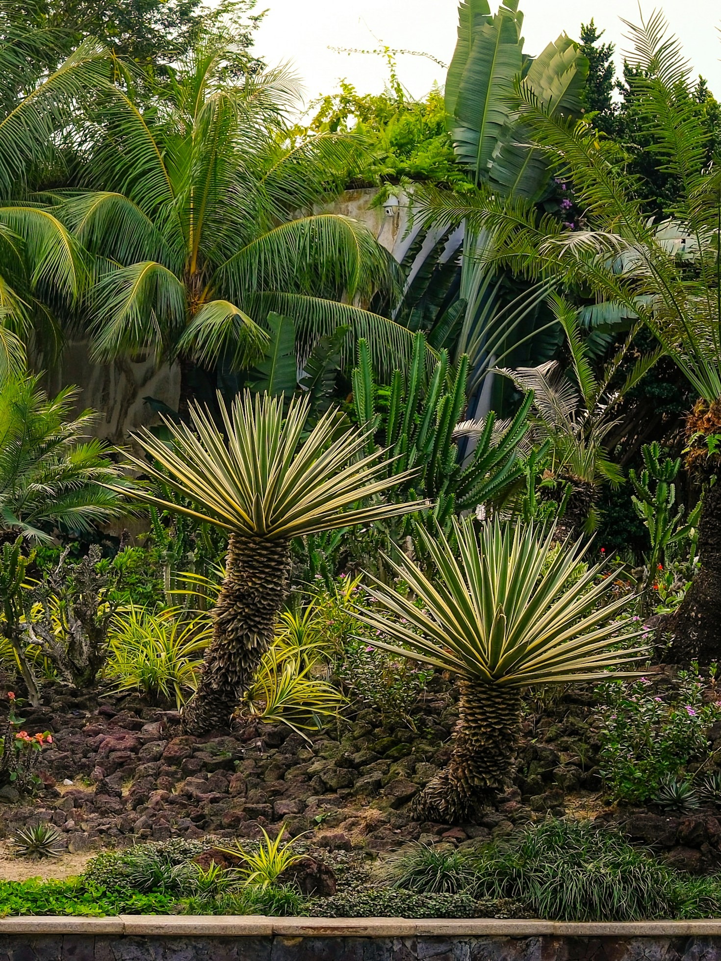 Top Tips for Planning a Davao Staycation