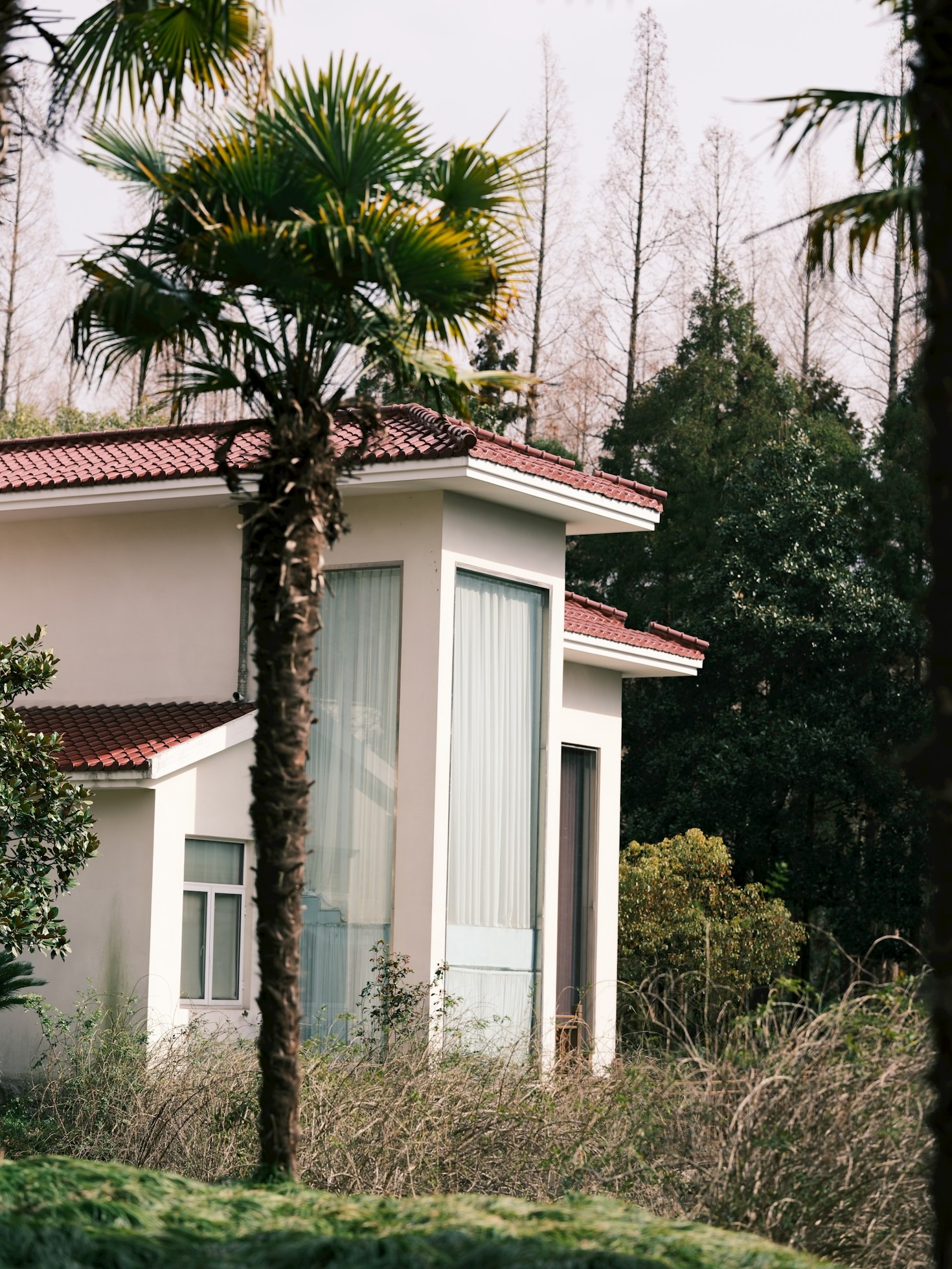 Exploring Davao City Through Local Rentals